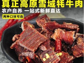 云南香格里拉牦牛肉干500g克麗江大理風干手撕耗牛肉干巴特產